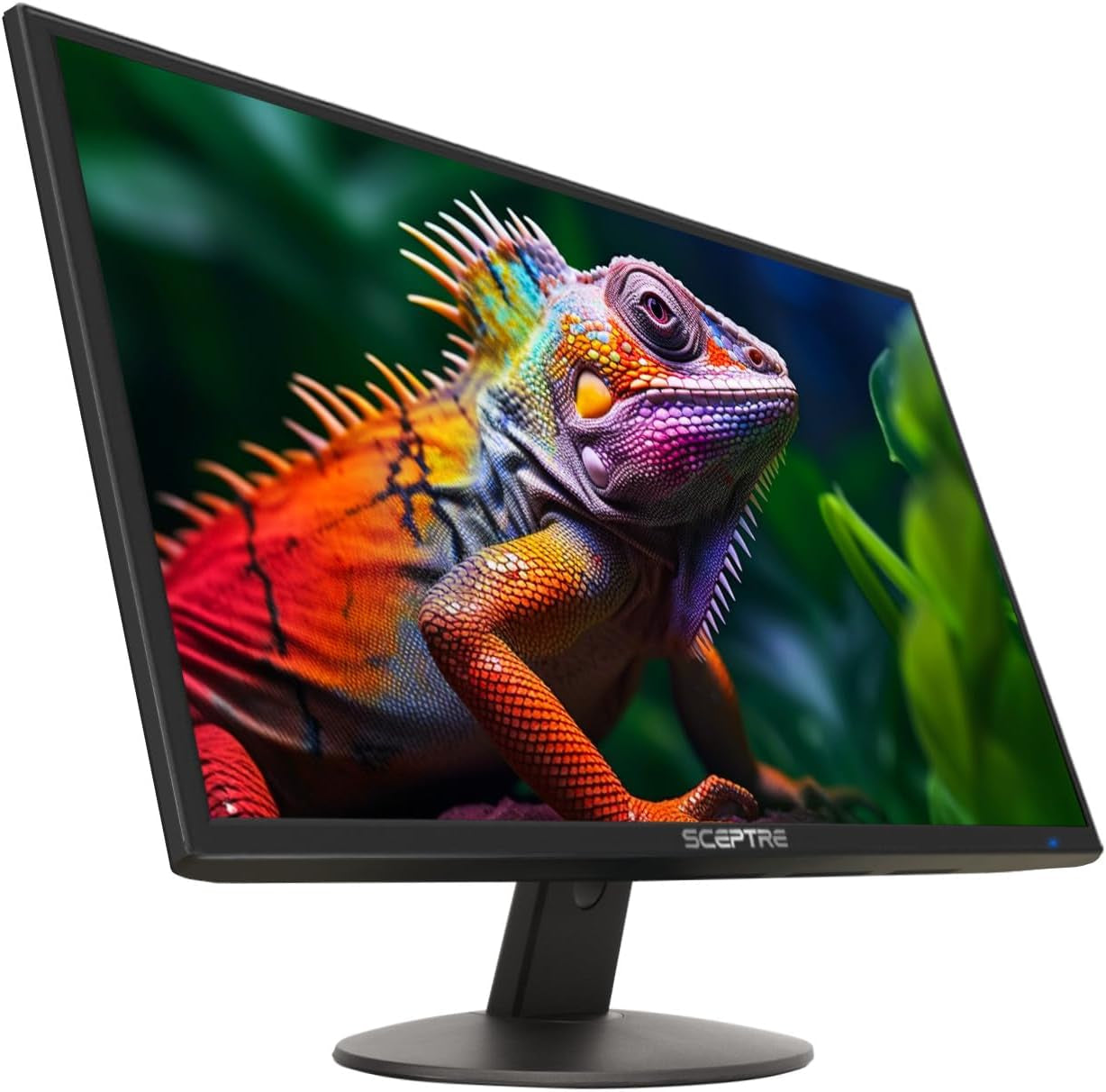 24-Inch Professional Thin 1080P LED Monitor 99% Srgb 2X HDMI VGA Build-In Speakers, Machine Black (E248W-19203R Series)